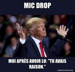 Trump Impeached