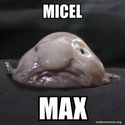 Blobfish