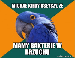 Paranoid Parrot