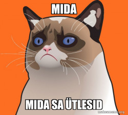 Cartoon Grumpy Cat