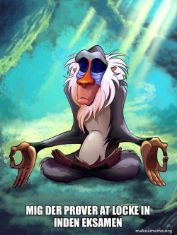 Rafiki Meditating - Lion King
