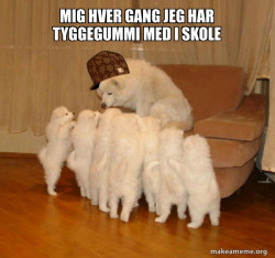 Scumbag Storytelling Dog