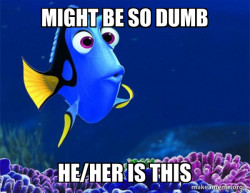 Dory from Nemo  (5 second memory)