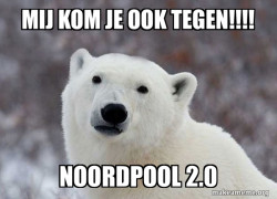 Popular Opinion Polar Bear