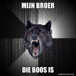 Insanity Wolf