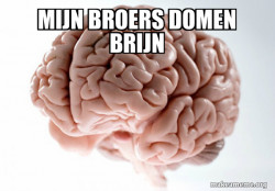 Scumbag Brain