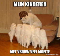 Scumbag Storytelling Dog