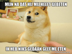 Doge