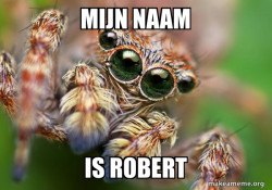 Hipster Spider