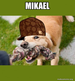 Scumbag dog