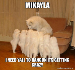 Storytelling Dog