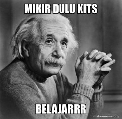 Serious Albert Einstein
