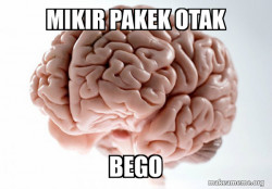 Scumbag Brain