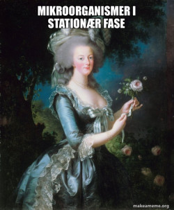 Marie Antoinette Let Them Eat Cake