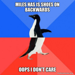 Socially Awkward Awesome Penguin