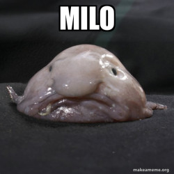 Blobfish