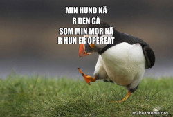 Unpopular Opinion Puffin