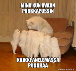 Storytelling Dog