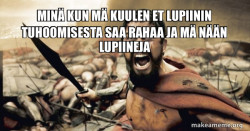 The 300