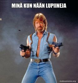 Chuck Norris