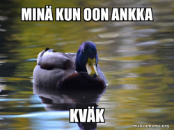 Zen Advice Mallard