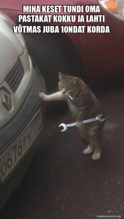 Mechanic Cat