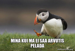 Unpopular Opinion Puffin