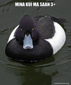 Revenge Duck ( Angry Advice Duck )