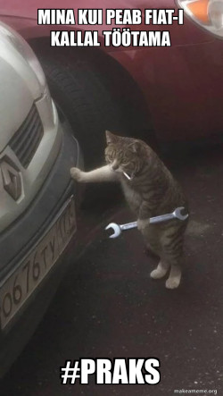 Mechanic Cat