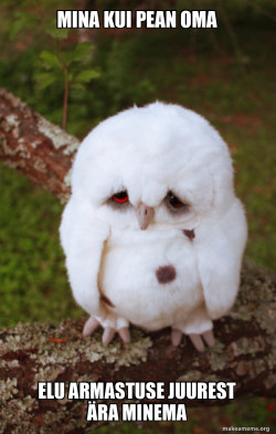 Sad Owl