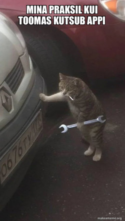 Mechanic Cat