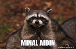 Evil Plotting Raccoon