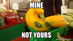 Gourd Advice Mallard