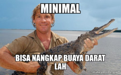 Steve irwin