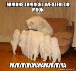 Storytelling Dog