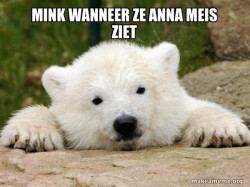 Popular Opinion Bear