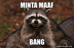 Evil Plotting Raccoon