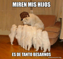 Scumbag Storytelling Dog