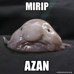 Blobfish