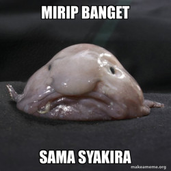 Blobfish