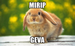 Regretful Rabbit
