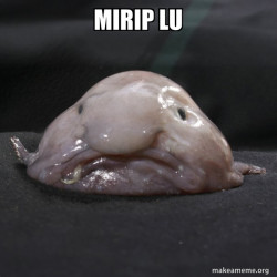 Blobfish