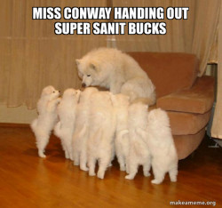 Storytelling Dog