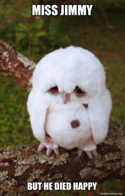 Sad Owl