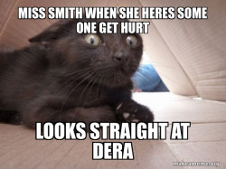 Schitzo Cat