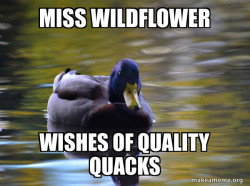 Zen Advice Mallard