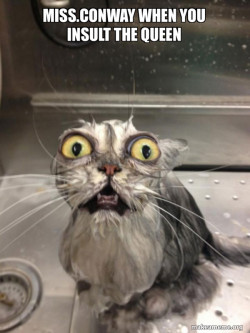 Cat bath