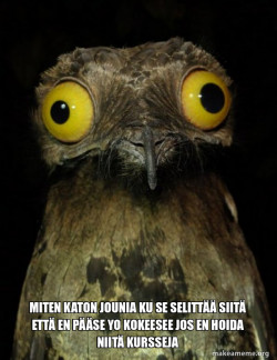 Weird Stuff I do Potoo