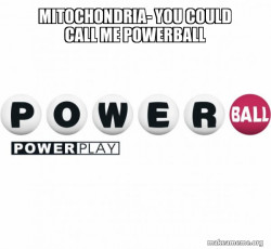 Powerball