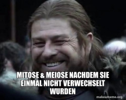 Happy Ned Stark Meme